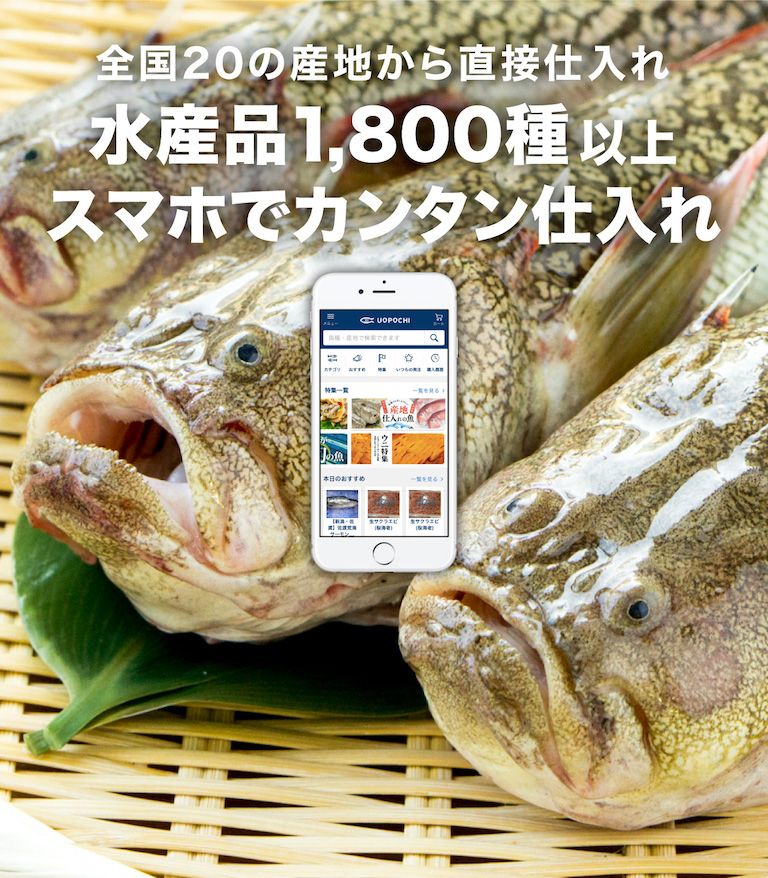 飲食店専門の鮮魚仕入れなら 魚ポチ